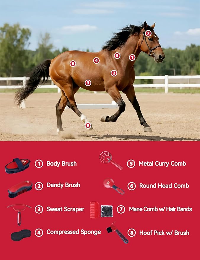 9PCS Horse Grooming Kit Curry Comb Sweat Scraper Horse Bathing Supplies Grooming Tools with Storage Bag Shadowberry-PawvioPets