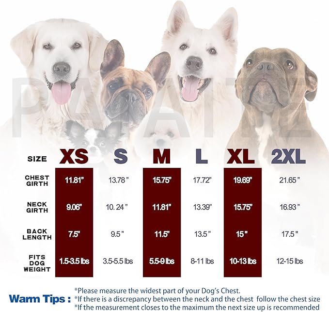 Comprehensive Post-Surgery Dog Recovery Suit: Premium Cotton Protective Wound Care Shirt for Puppies, Cats, and Small Pets - Ensuring Ultimate Comfort, Unrestricted Mobility M-PawvioPets