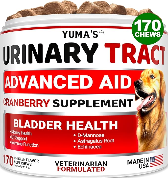 Dog UTI Treatment - 170 Treats - Cranberry Supplement for Dogs - Bladder Control - Urinary Tract Infection Treatment - UTI Medicine Multivitamin - Vitamins and Supplements - Made in USA-PawvioPets