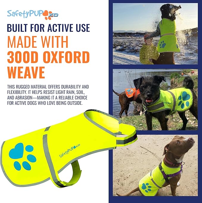 Dog Reflective Vest – Hi-Vis Fluorescent Visibility That Helps to Safeguard Your Pet On/Off Leash in Urban & Rural Areas (Yellow, Medium)-PawvioPets