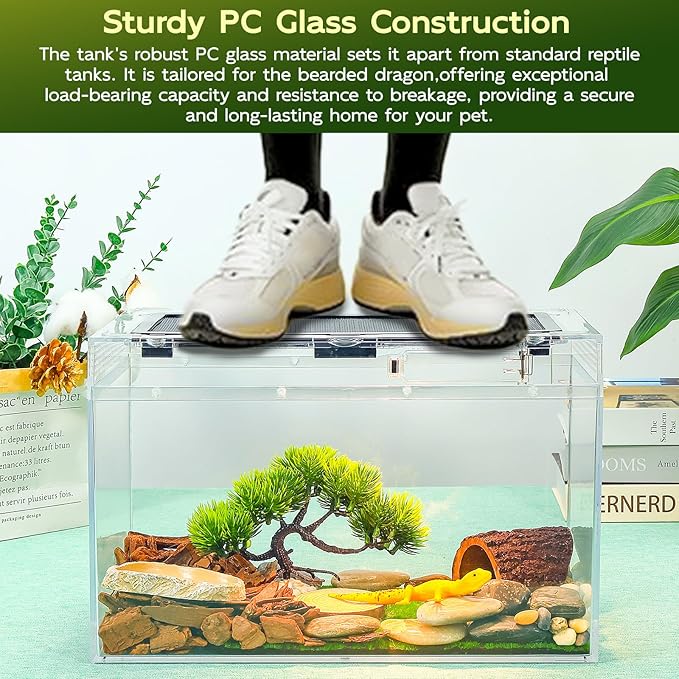 16×10×8'' Reptile Tank Kit with Heat Lamp, Spray Bottle, Shovel, Tweezers, Food Bowl, Hideout -Perfect for Geckos, Bearded Dragons, Snakes, Lizards, Turtles 360° Viewing, PC Glass-PawvioPets