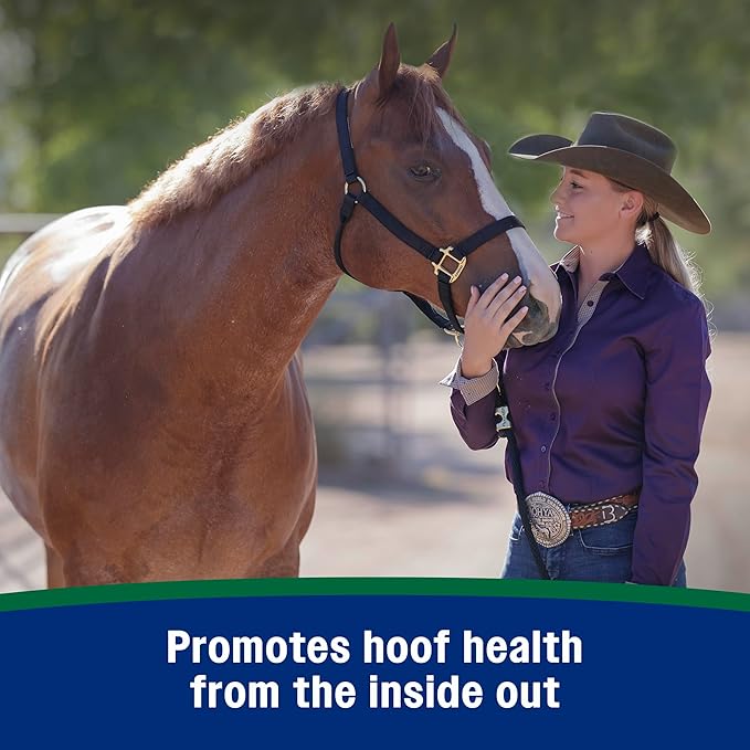 Farnam Horseshoer's Secret Pelleted Hoof Supplement for horses promotes healthy hoof growth, 22 lb., 60 day supply-PawvioPets