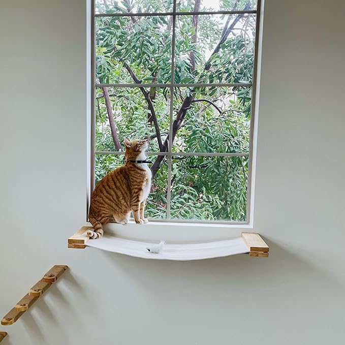 FUKUMARU Cat Wall Furniture, 34 x 13 inch Cats Hammock Shelves, Rubberwood Kitten Window Perch, Easy DIY Installation-PawvioPets