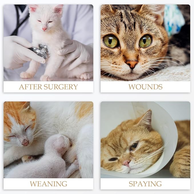 ANWA Cat Recovery Suit - Breathable Cat Onesie for Cats After Surgery Female, Kitten Surgery Recovery Suit Female Abdominal Wounds-PawvioPets