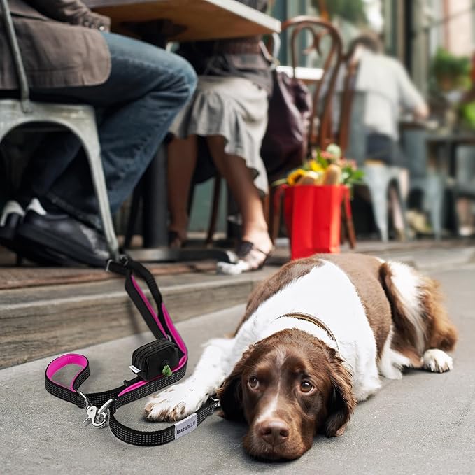 Dog Poop Bag Holder for Leashes - Dog Poop Bag Dispenser and Treat Holder with 2 Waterproof Pouches for Pet Waste Bags and Walking Accessories + 1 Free Roll - Leashrr 2.0 (Teal)-PawvioPets