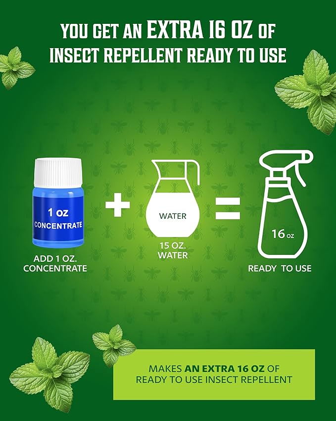All Natural Bug Spray for Home – Non- Toxic Peppermint Oil Spray for Insect and Pest Control Kit - 16 oz Ready-to-Use Bug Spray 2 Bottle Value – 16 oz + 1oz - Spider Repellent Indoor-PawvioPets