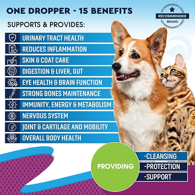 Cat & Dog Multivitamin Liquid with Glucosamine & Cranberry | 15 in 1 Health Supplements for Urinary Tract Kidney, Bladder, Hip & Joint, Skin & Coat | Natural UTI Medicine Made in USA (60 ml)-PawvioPets