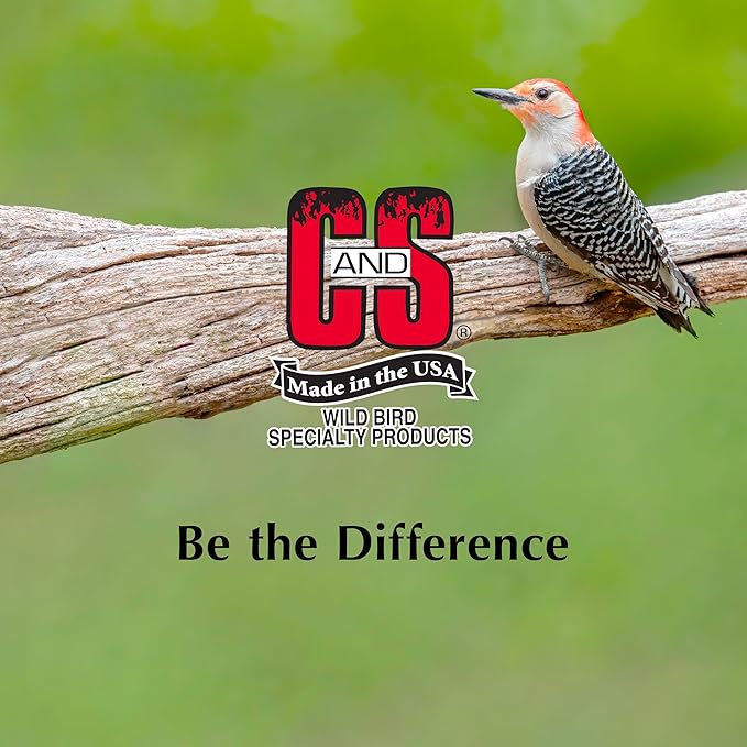 C&S Wild Bird Peanut Suet Nuggets Mega Box, 8 Pounds-PawvioPets