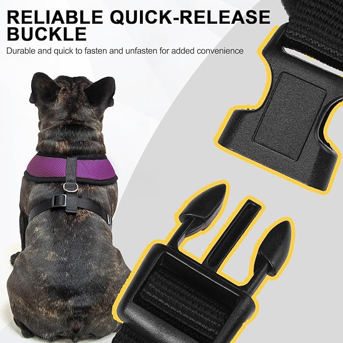 BINGPET Dog Vest Harness -Light Weight Breathable Sports Mesh - Pet Adjustable Harness Puppy Padded Harnesses Dog Vest Harness for Small Dogs-PawvioPets