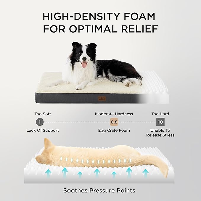 Bedsure Dog Beds Large Sized Dog - Orthopedic Flat Pet Beds with Removable Washable Cover, Egg Crate Foam Puppy Mat, Suitable for Pet Up to 65 lbs-PawvioPets