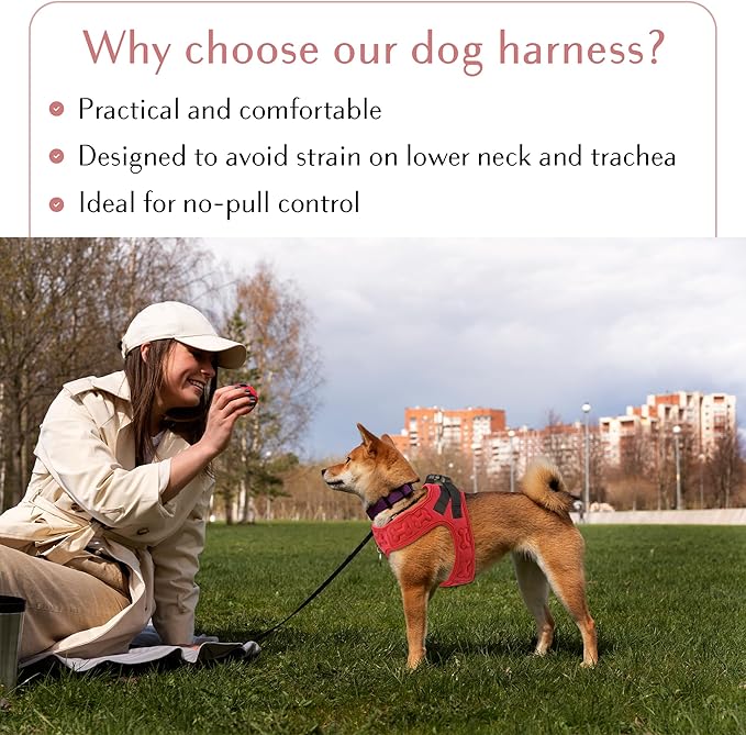 Comfort fit Step-in Dog & Puppy Harness - Comfortable All Weather Dog Vest Harness: Adjustable, Soft Padded, Easy to Put-on for Small, Medium-Sized Dogs.-PawvioPets