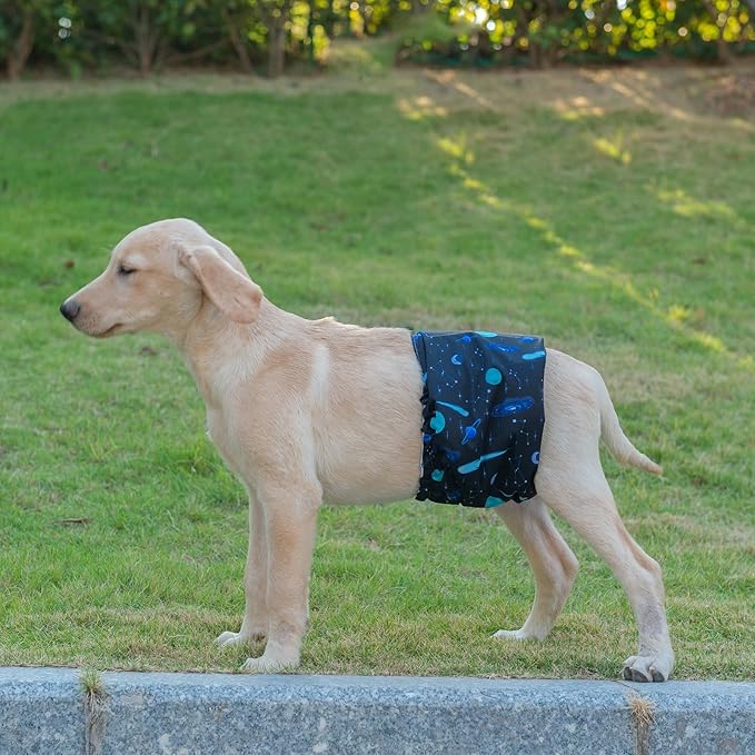 CuteBone Reusable Doggie Diapers Male Dog Wraps XS 3 Pack Washable Puppy Belly Bands Small DM11XS-PawvioPets