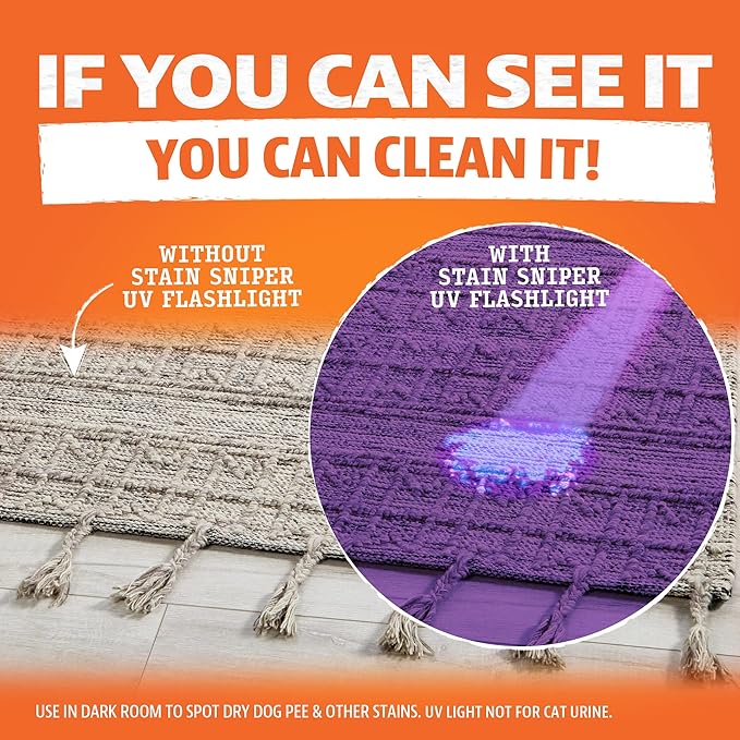 ANGRY ORANGE Pet Odor Eliminator Kit for Dog Urine - Citrus - 24 oz + UV Flashlight-PawvioPets