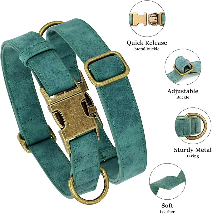 Didog Soft PU Leather Dog Collar, Stylish Quick Released Dog Collars for Medium Dogs, Easy Clean Adjustable Pet Collar for Daily Walking, Green, M Fit 13-21" Neck-PawvioPets