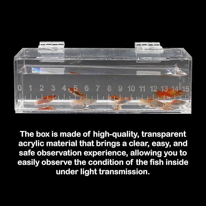Fish Viewing Box Container with Lid and Scale, Acrylic Portable Fishing Mini Aquarium, Small Fish Breeder Hatching Boxes, Safe Tank Case for Breeding Egg Photo Isolation Outdoor Indoor-PawvioPets