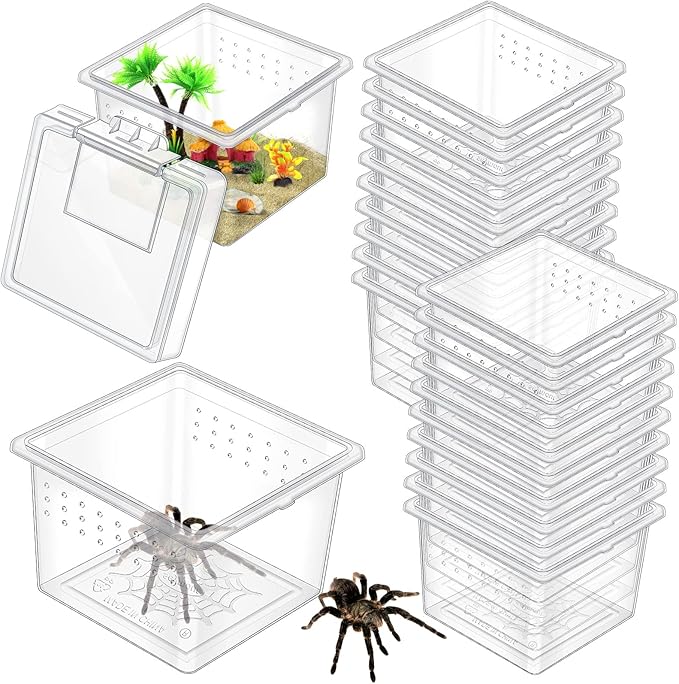 20 Pcs Insect Spider Terrariums Breeding Box Small Reptile Hatching Container Transparent Cricket Keeper Breeder Box Feeding Spider Cage with Lid for Scorpion Gecko Tortoise Centipede Tarantula-PawvioPets