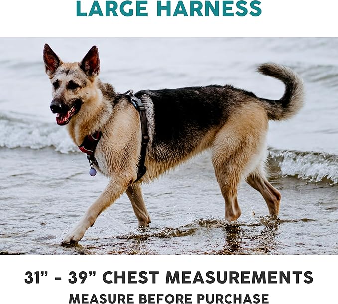 Embark Adventure Dog Harness, Reflective Trim No Pull Dog Harness for Large Dogs - Military Grade Nylon, Front Clip with Gel Lined Handle.-PawvioPets