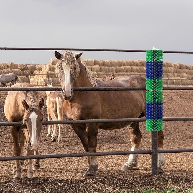 2PCS Livestock Scratch Brush, 17.5 x 7.8 Inch Goat Brushes for Grooming, Horse Brushes for Scratching, Livestock Brushing with 4 Screws for Horse, Elk, Cattle, Pig, Sheep（Green）-PawvioPets