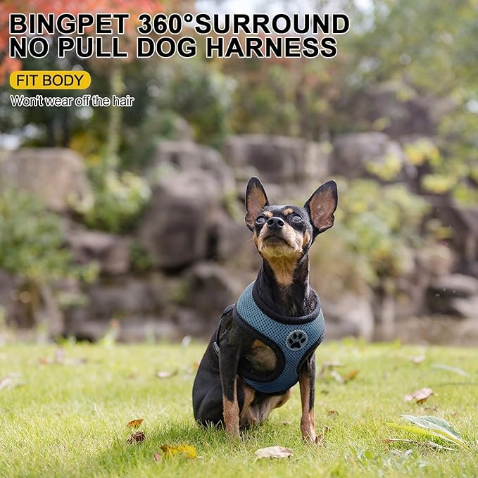 BINGPET Small Dog Harness - Breathable Mesh Puppy Cat Harnesses - No Pull Adjustable Dog Harness Dog Vest Harness for Small and Medium Dogs-PawvioPets