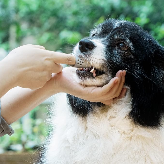 Coomazy Dog Finger Toothbrush, Dog Tooth Brushing Kit with Food Grade Silicone, Easily Clean Teeth Dirt, Suitable for Medium and Large Dogs, 2-Packs, Beige+Grey-PawvioPets