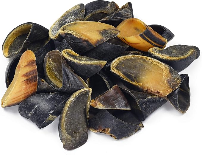 Full-Size Cow Hooves for Dogs | (50 Pack) All-Natural Long Lasting Dog Chews | Made from Grass Fed Cattle | Tasty Treat for Oral Hygiene | Fantastic Alternative for Rawhide and Bully Sticks-PawvioPets