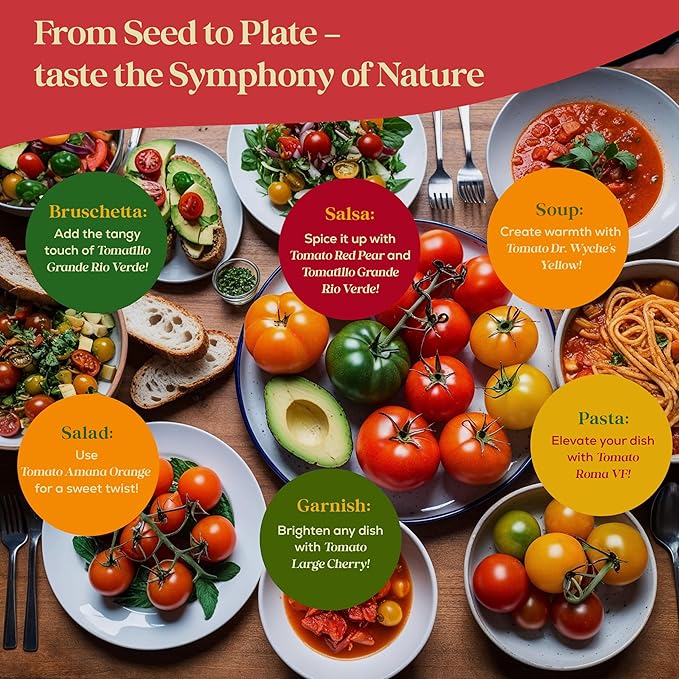 14 Tomatillo & Tomato Seeds for Planting Variety Pack - 990+ Non-GMO Heirloom Vegetable Seeds for Growing Tomato Indoor & Outdoor: Cape Gooseberry, Cherry, Flame, Roma, Beefsteak Tomatoes-PawvioPets