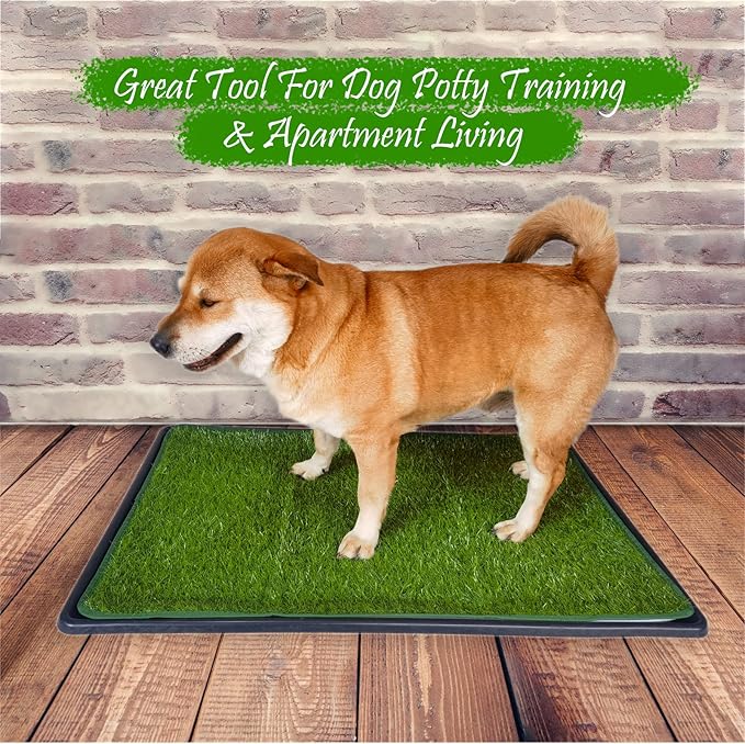Dewonch Dog Artificial Grass Pad with Tray for Puppy Potty Training, Fake Turf Patch & Washable Pee Pad Pet Loo for Small and Medium Dogs, Indoor or Outdoor Use (Potty System 35.4” x 23.6”)-PawvioPets