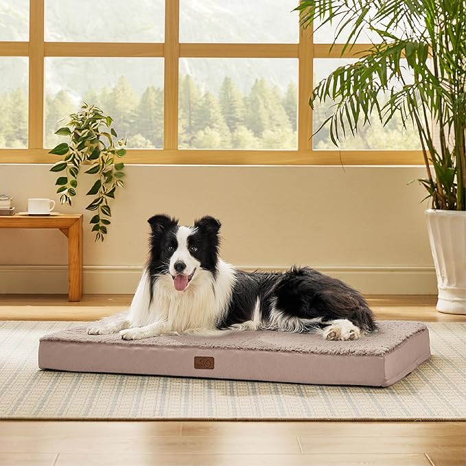 Bedsure Dog Beds Large Sized Dog - Orthopedic Flat Pet Beds with Removable Washable Cover, Egg Crate Foam Puppy Mat, Suitable for Pet Up to 65 lbs-PawvioPets