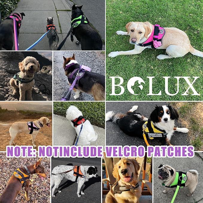 Bolux Dog Harness, No-Pull Reflective Dog Vest, Breathable Adjustable Pet Harness with Handle for Outdoor Walking - No More Pulling, Tugging or Choking (Lavender, X-Small (Pack of 1))-PawvioPets
