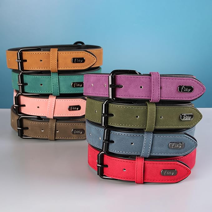 Didog Soft Padded PU Leather Dog Collar, Breathable and Adjustable Dog Collars for Small Dogs, Comfortable for Daily Walk, Blue, M Fit Neck 12-15"(13-22 lbs)-PawvioPets