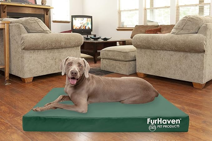 Furhaven Water-Resistant Cooling Gel Dog Bed for Large Dogs w/ Removable Washable Cover, For Dogs Up to 125 lbs - Indoor/Outdoor Logo Print Oxford Polycanvas Mattress - Forest, Jumbo Plus/XXL-PawvioPets