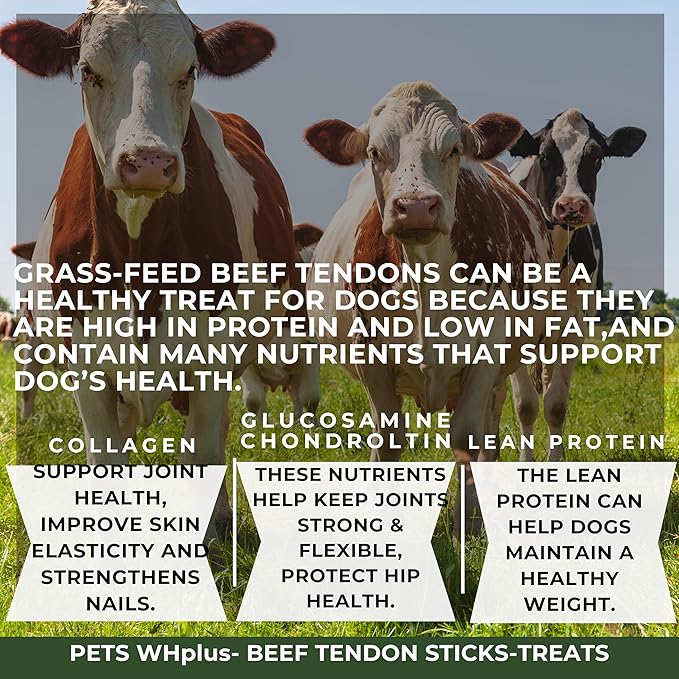 Beef Tendon Dog Treats, Single Ingredient, 100% Natural, Grass-Fed, Long-Lasting Rawhide-Free Chews, Collagen Protein, Dental & Joint Support, 4 oz, Safe & Grain-Free Snack-PawvioPets