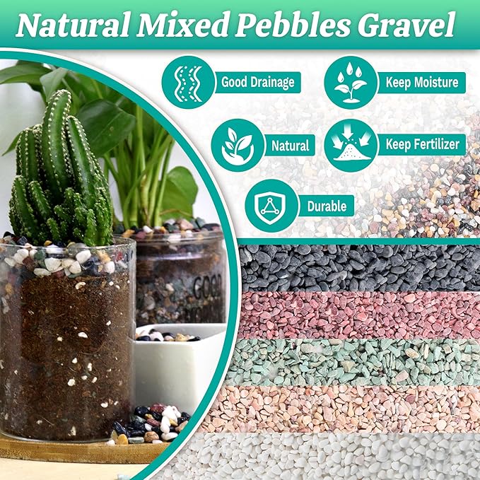AVALUTION Aquarium Gravel for Plants -7lb Fish Tank Gravel for Succulent Cactus & Bonsai, 1/4Inch Decorative River Rocks Pebbles for Gardening, Flower Pots, Landscaping, Terrarium-PawvioPets