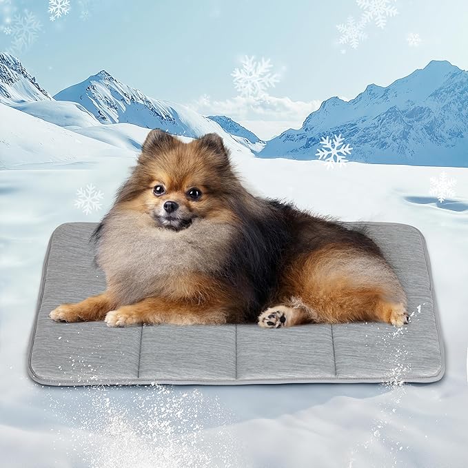 Dog Cooling Mat for Small Dogs - 24x18 Orthopedic Memory Foam Pet Pad for Summer, QMAX>0.5, Washable Premium Comfort Crate Pad for Your Furry Companion, Grey-PawvioPets