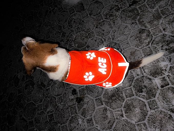 Custom Reflective Dog Vest High Visibility Reflective Jacket for Dogs Hunting Safety Gear with Elastic Strap & Clasp, Comfortable, Perfect for Day and Night Walks!-PawvioPets