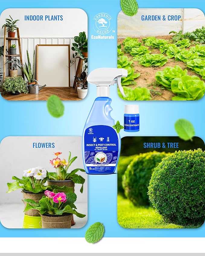 All Natural Bug Spray for Home – Non- Toxic Peppermint Oil Spray for Insect and Pest Control Kit - 16 oz Ready-to-Use Bug Spray 2 Bottle Value – 16 oz + 1oz - Spider Repellent Indoor-PawvioPets