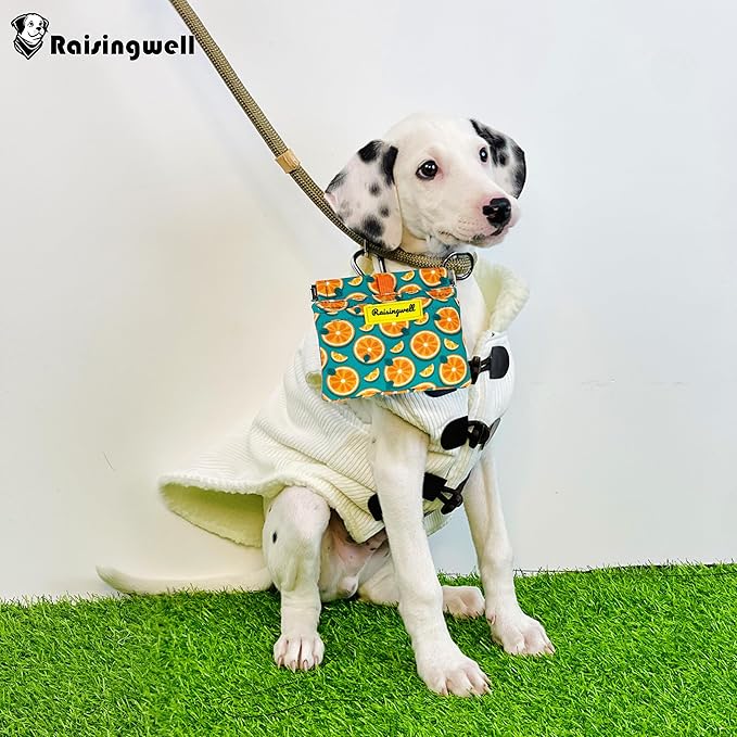 Dog Treat Pouch,Cotton Pocket Sized Training Holder, Hand Free Walking Funny Bag with Carabiner, Self-Closing Pet Feed Snack Reward, Behavior Aids for Puppy Travel or Outdoor Use（Fruit Orange）-PawvioPets