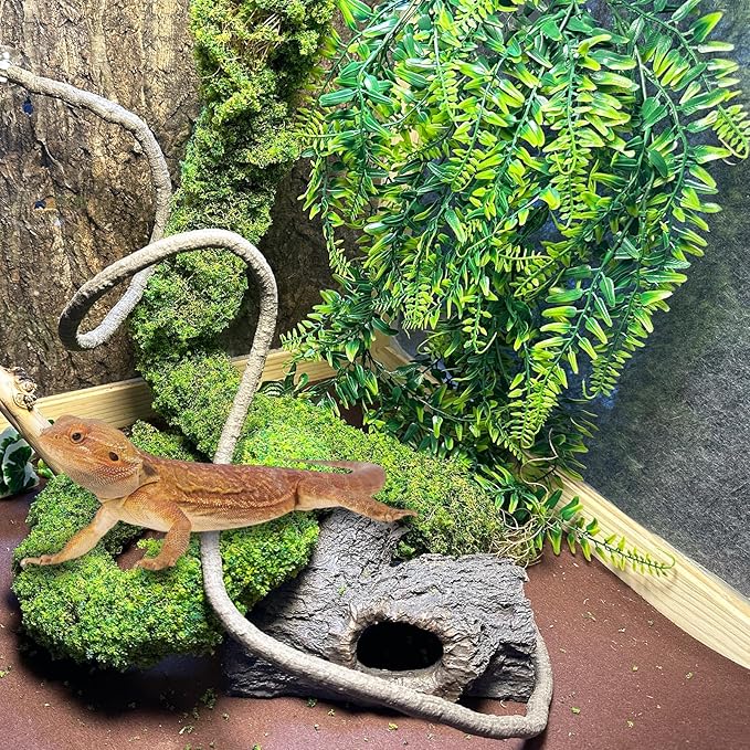 BNOSDM Reptile Plants,Flexible Rainforest Vines with Moss,Bendable Jungle Climbing Vines,Terrarium Artificial Plants Decor for Bearded Dragon,Hermit Crab,Snake,Geckos,Chameleon,Lizard-PawvioPets