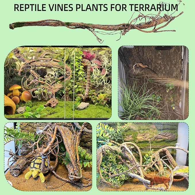 BNOSDM Reptile Vines, Bendable Jungle Climbing Vine with Moss,Terrarium Plants Decor,Artificial Plants Tank Decorations Accessories for Bearded Dragons Chameleons Snakes Lizards Hermit Crabs-PawvioPets