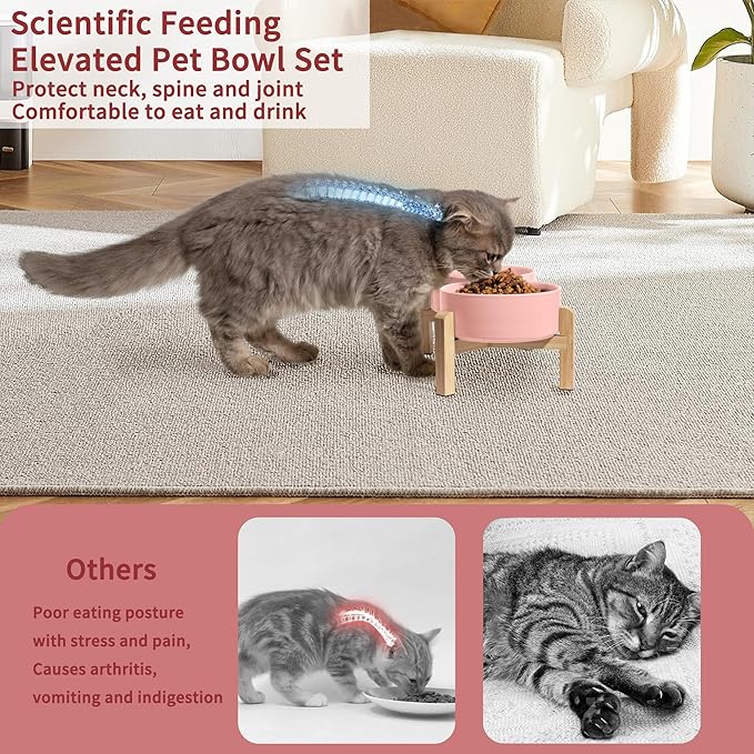 Elevated Ceramic Dog Bowl Set - Raised Feeding Bowls with Non-Slip Bamboo Stand - Small Pet Dishes for Food and Water - Ideal for Cats and Puppies - 16.23 OZ - 2 Cups - 480 ML-PawvioPets