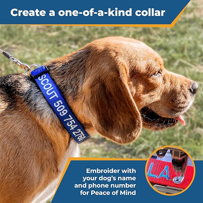 GoTags Personalized Dog Collar, Custom Embroidered with Pet Name and Phone Number in Blue, Black, Pink, Red and Orange, for Boy and Girl Dogs or Cats, Adjustable Sizes, Small, Medium, and Large-PawvioPets