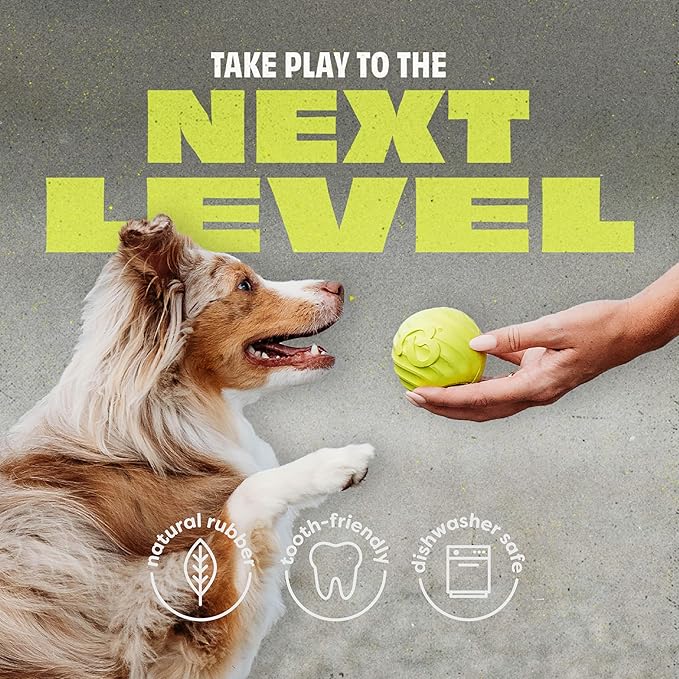 Benebone 2-Pack Rubber Ball-PawvioPets