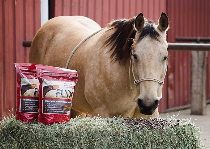 Flix 9 lb, 100% Flaxseed Healthy Treats for Horses, High in Omega-3-PawvioPets