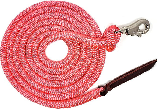 12FT Lead Rope with NP Snap-PawvioPets