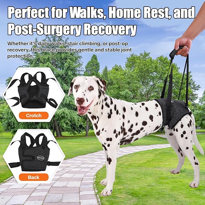 Dog Sling for Medium Large Dog Rear Leg, Lift Harness Provide Support with Muscle Atrophy and Joint Problems for Elderly Injured Arthritic Pet, Dog Weak Rear Legs Provides Rehabilitation Aid-PawvioPets