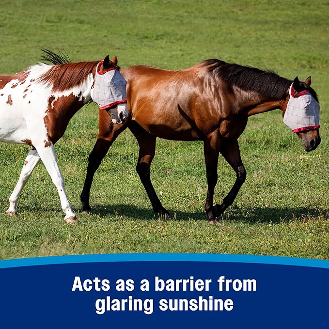 Farnam SuperMask II Fly Mask Without Ears for Smaller Horses or Arabian Horses,Full Face Coverage & Eye Protection from Insect Pests, Structured Classic Mesh with Plush Trim,Small Horse/Arabian Size-PawvioPets