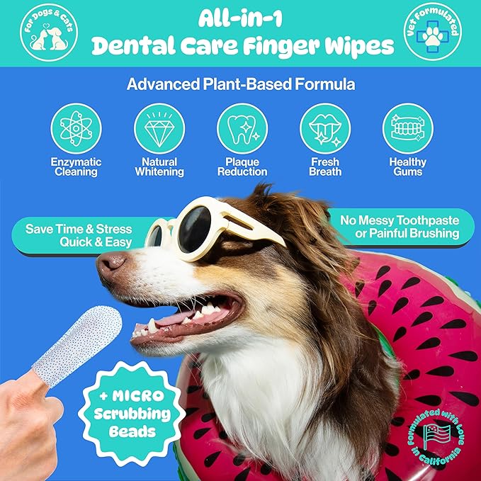 All-in-1 Dog Teeth Cleaning Wipes | Enzymatic Whitening + Premium Scrubbing Beads | No Mess, Pet Dental Wipes & Finger Tooth Brushing Kit | Plant-Based Dental Care for Cats & Dogs (60 Count)-PawvioPets