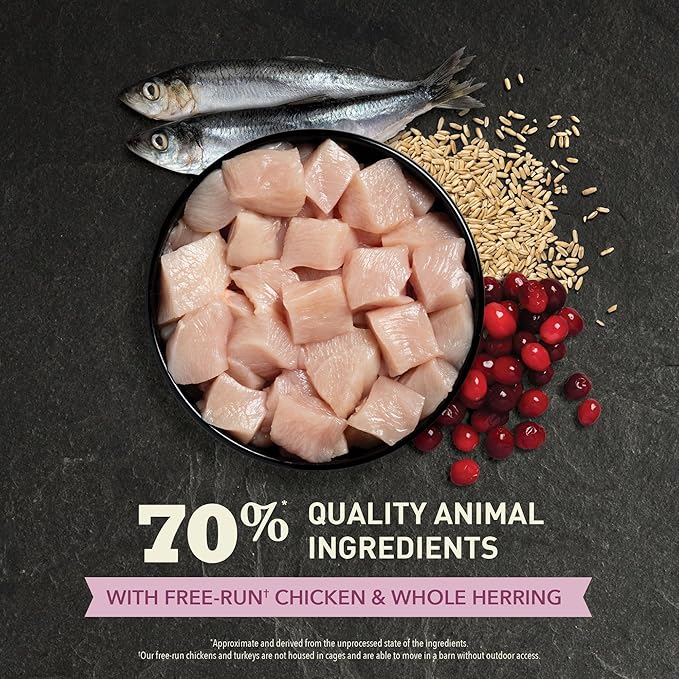 ACANA Dry Cat Food for Kittens First Feast Chicken and Fish 7lb Bag-PawvioPets