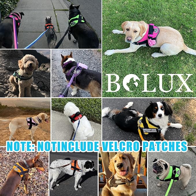 Bolux Dog Harness, No-Pull Reflective Dog Vest, Breathable Adjustable Pet Harness with Handle for Outdoor Walking - No More Pulling, Tugging or Choking (OceanicBlue, X-Small (Pack of 1))-PawvioPets