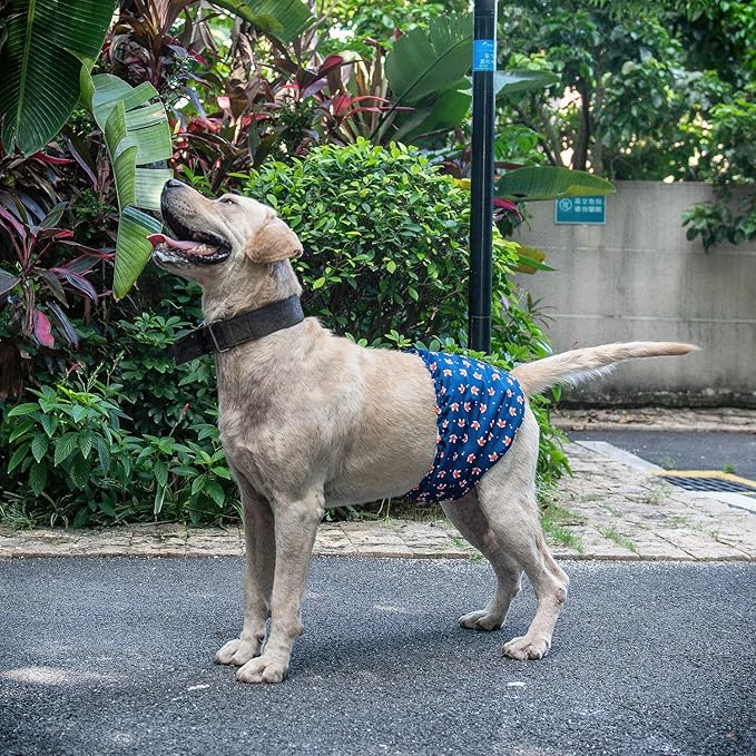 CuteBone Belly Wrap Male Dog Washable Puppy Diapers Reusable Doggie Diapers XSmall 3pcs a Pack DM02XS-PawvioPets